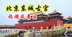 阴荡小少妇女秘书被大鸡巴干中国北京-东城古宫旅游风景区